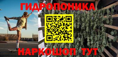 стафф Заволжье