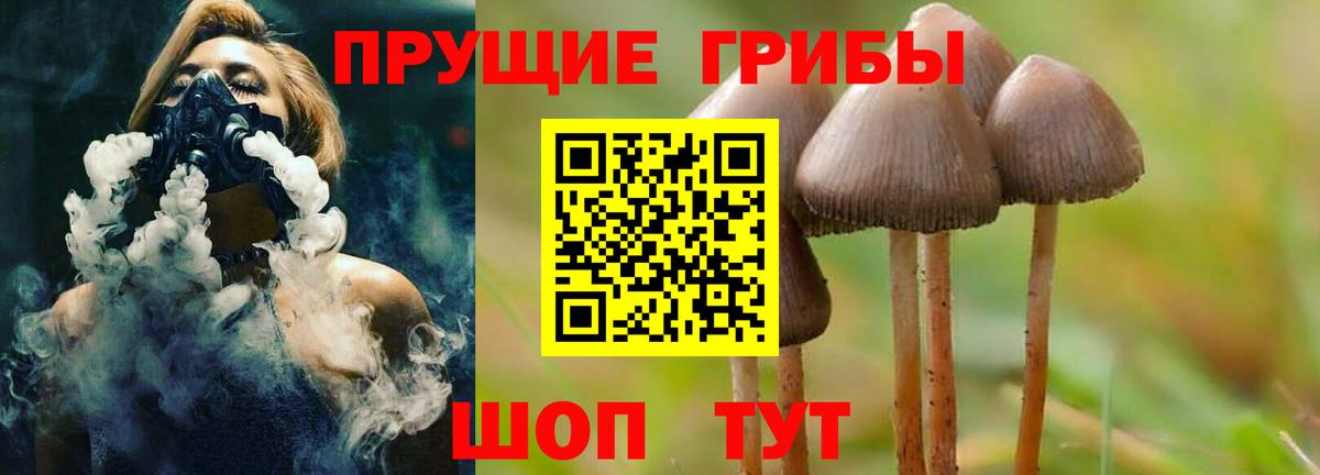 Галлюциногенные грибы Magic Shrooms Кунгур